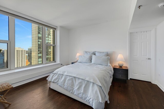 25 E Superior St Unit 2901, Chicago, IL 60611 - photo 17