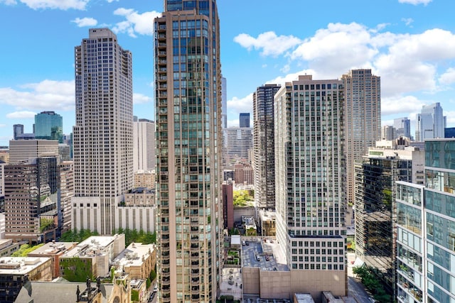 25 E Superior St Unit 2901, Chicago, IL 60611 - photo 21