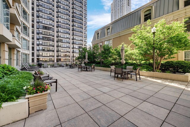 25 E Superior St Unit 2901, Chicago, IL 60611 - photo 25