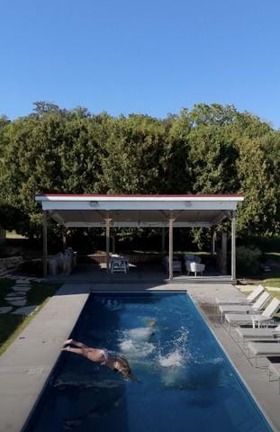 281 Snipe Hollow Rd N, Elizabeth, IL 61028 - swimming pool with a patio