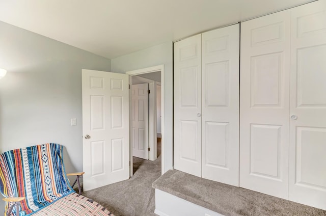 7 Fernwood Dr Unit Q, Bolingbrook, IL 60440 - carpeted bedroom with a closet