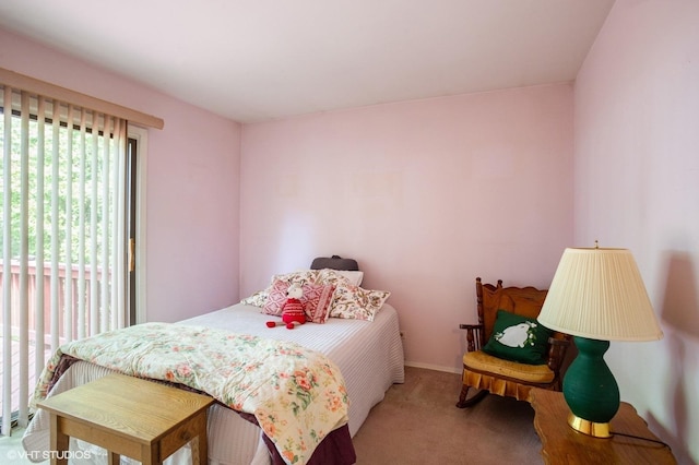 1036 Colony Lake Dr Unit 0, Schaumburg, IL 60194 - view of carpeted bedroom