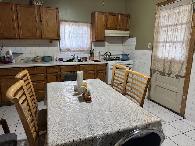 415 Buell Ave, Joliet, IL 60435 - photo 6