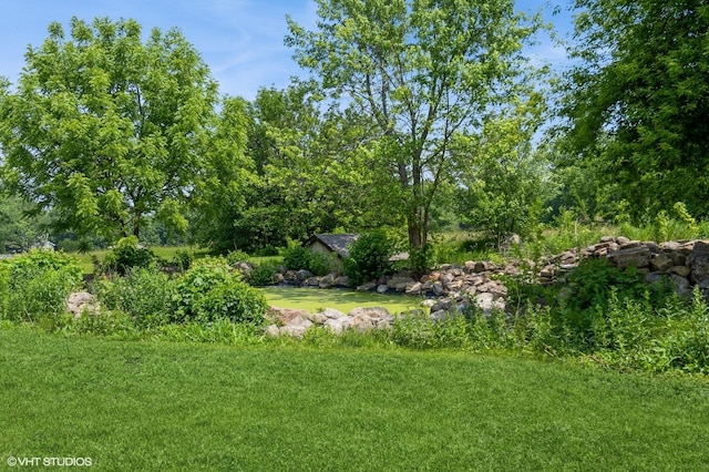 4722 Douglas Rd, Oswego, IL 60543 - view of grassy yard