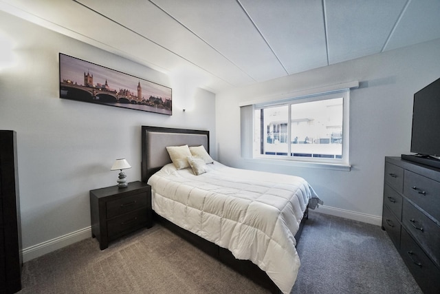 603 S River Rd Unit 2K, Des Plaines, IL 60016 - bedroom with carpet flooring and baseboards