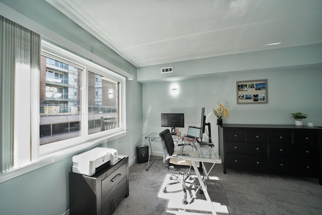 603 S River Rd Unit 2K, Des Plaines, IL 60016 - home office featuring carpet floors and baseboards