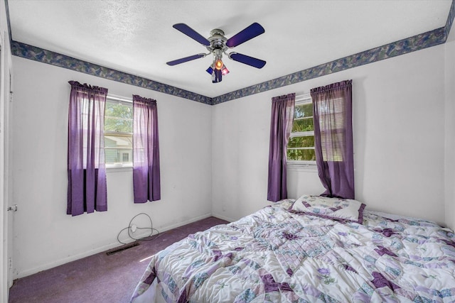 833 N Bell St, Gibson City, IL 60936 - photo 19