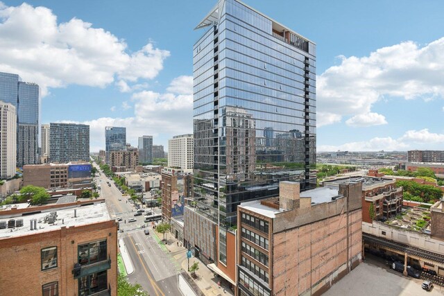 1111 S Wabash Ave Unit 1410, Chicago, IL 60605 - view of city