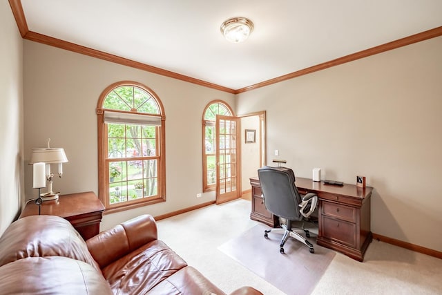 3N624 Ridgeview Ct, Saint Charles, IL 60175 - home office with ornamental molding and light carpet