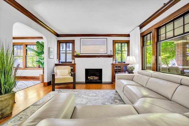 336 S Sleight St, Naperville, IL 60540 - living area with crown molding, plenty of natural light, wood finished floors, and a fireplace
