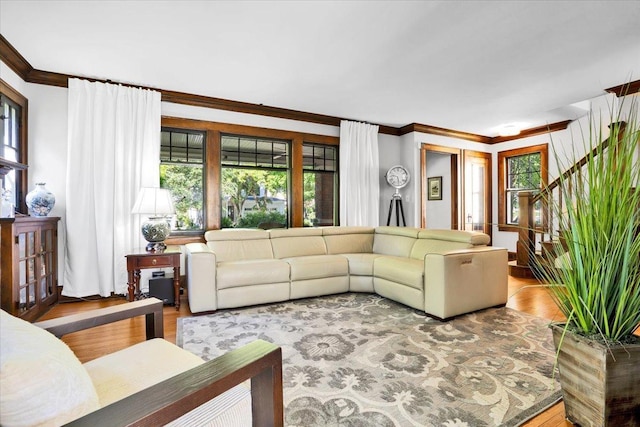336 S Sleight St, Naperville, IL 60540 - living area featuring crown molding and wood finished floors