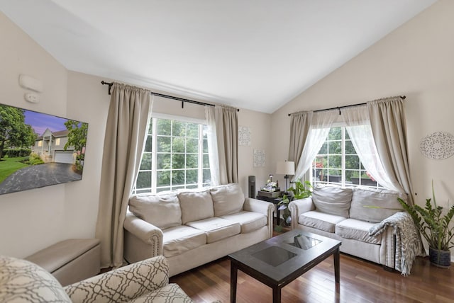 2439 Daybreak Ct Unit 2439, Elgin, IL 60123 - living room featuring lofted ceiling and hardwood / wood-style floors