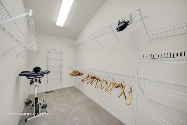 351 Tiger St, Bolingbrook, IL 60490 - spacious closet with carpet floors and vaulted ceiling