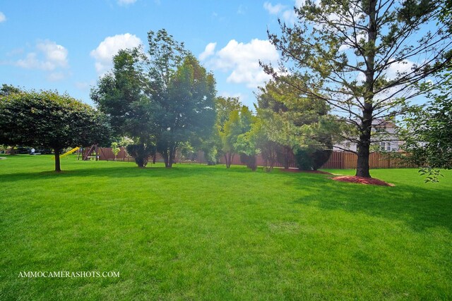 351 Tiger St, Bolingbrook, IL 60490 - view of yard