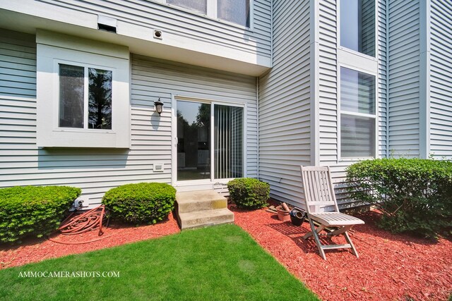 351 Tiger St, Bolingbrook, IL 60490 - view of entrance to property