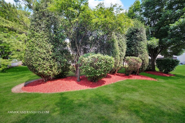 351 Tiger St, Bolingbrook, IL 60490 - view of grassy yard