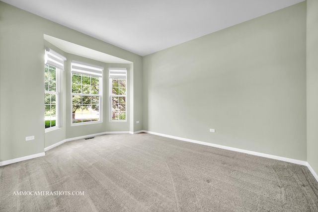 351 Tiger St, Bolingbrook, IL 60490 - unfurnished room with baseboards and carpet floors