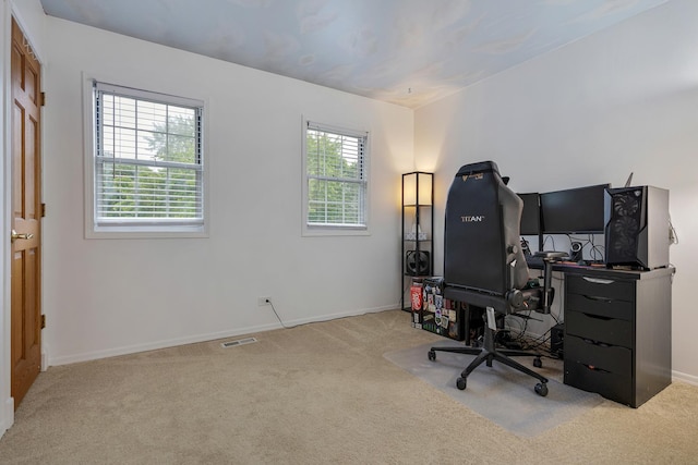 67 Alice St, Algonquin, IL 60102 - office space featuring carpet flooring and baseboards