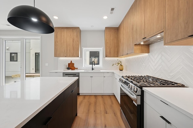 944 Beloit Ave Unit 3, Forest Park, IL 60130 - kitchen featuring appliances with stainless steel finishes, under cabinet range hood, a sink, light countertops, and decorative backsplash