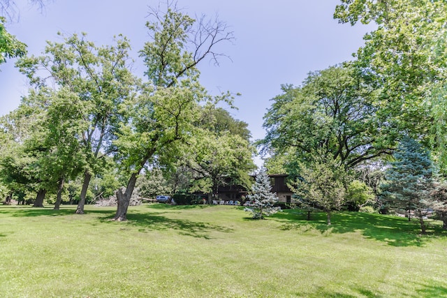 8080 Wolf Rd, Burr Ridge, IL 60527 - photo 60