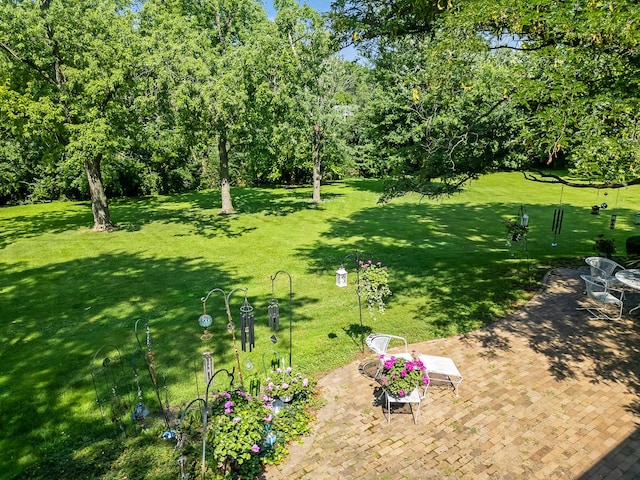 8080 Wolf Rd, Burr Ridge, IL 60527 - photo 65