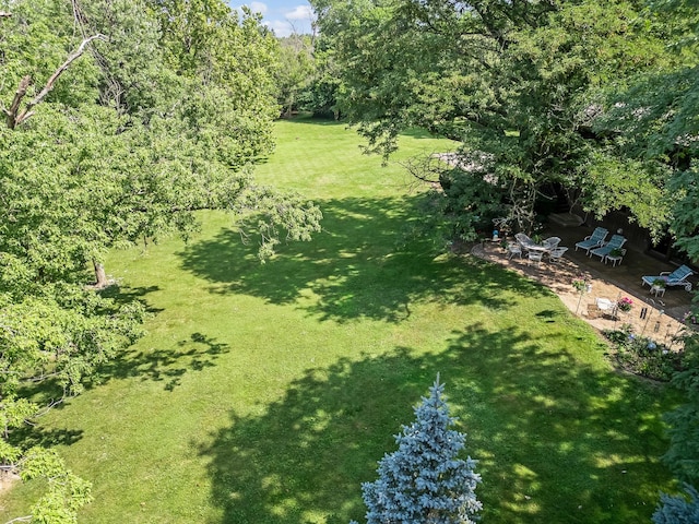 8080 Wolf Rd, Burr Ridge, IL 60527 - photo 66