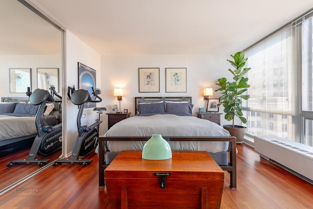 2400 N Lakeview Ave Unit 1706, Chicago, IL 60614 - bedroom featuring wood finished floors and radiator