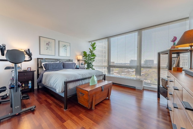 2400 N Lakeview Ave Unit 1706, Chicago, IL 60614 - bedroom featuring radiator heating unit and wood finished floors