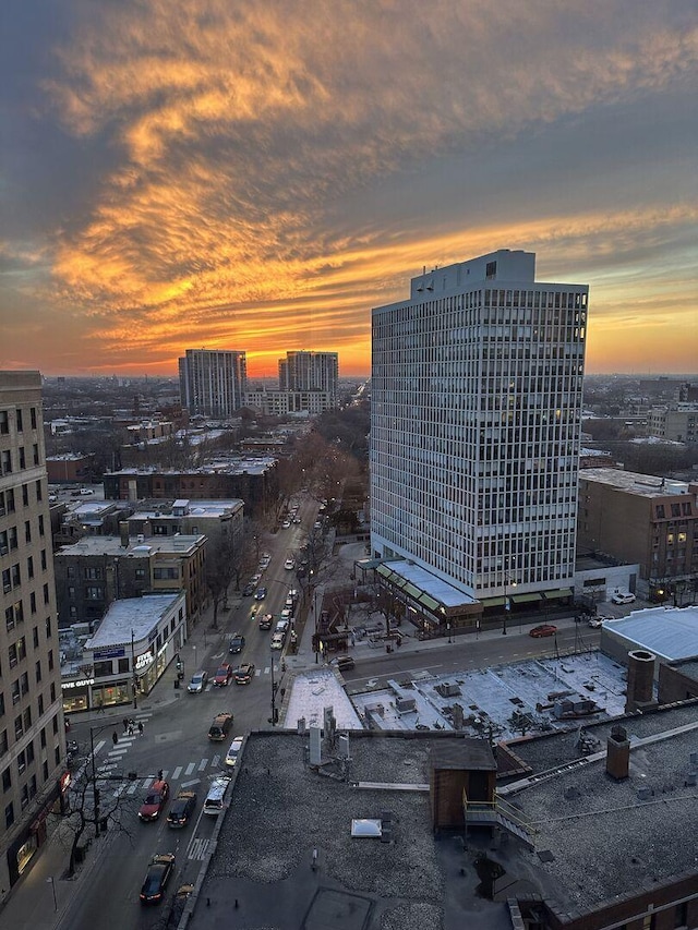 2400 N Lakeview Ave Unit 1706, Chicago, IL 60614 - city view