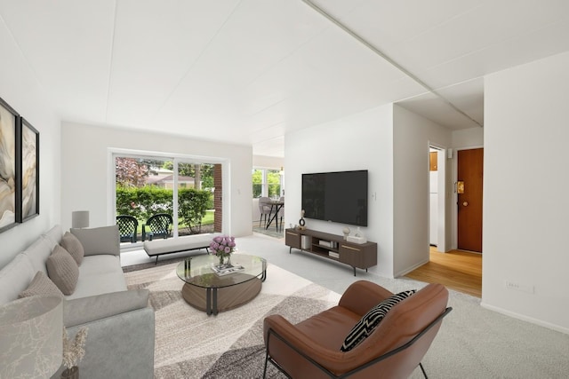 801 E Miner St Unit 1A, Arlington Heights, IL 60004 - living room with carpet floors and baseboards
