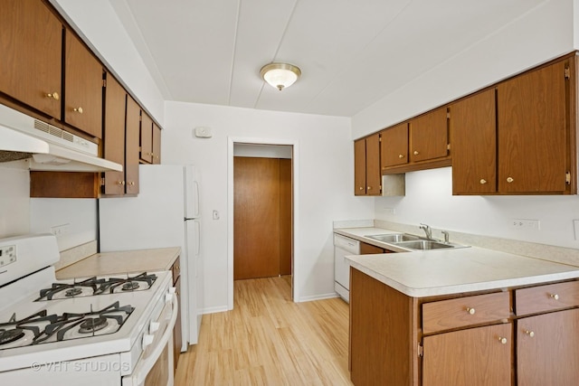 801 E Miner St Unit 1A, Arlington Heights, IL 60004 - kitchen featuring a sink, white appliances, light wood finished floors, light countertops, and under cabinet range hood