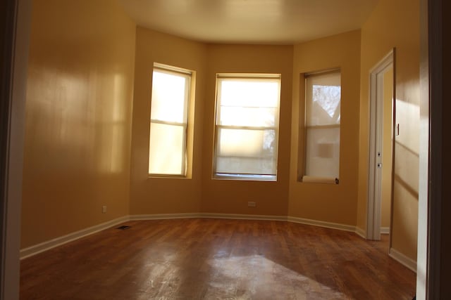 741 N Christiana Ave, Chicago, IL 60624 - spare room featuring healthy amount of natural light, wood finished floors, and baseboards