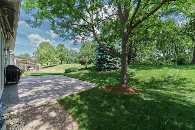 13391 Crestview Dr, Huntley, IL 60142 - view of grassy yard with a patio