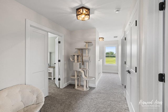 1405 Navajo Ct, Kankakee, IL 60901 - hallway featuring carpet and baseboards