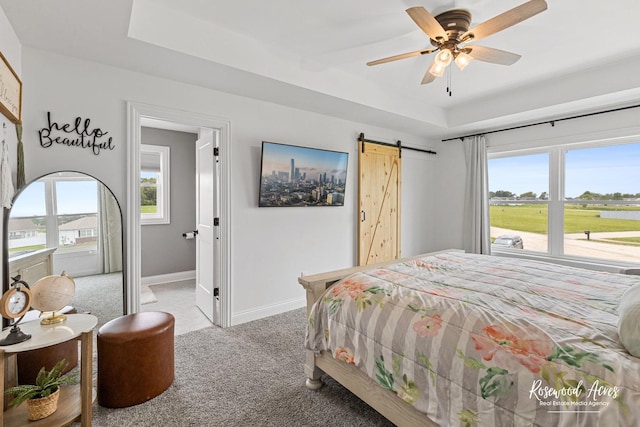 1405 Navajo Ct, Kankakee, IL 60901 - bedroom with carpet, a barn door, and multiple windows