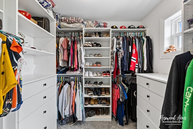 1405 Navajo Ct, Kankakee, IL 60901 - view of spacious closet