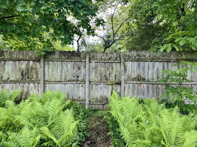 1350 Saint Johns Ave, Highland Park, IL 60035 - view of yard
