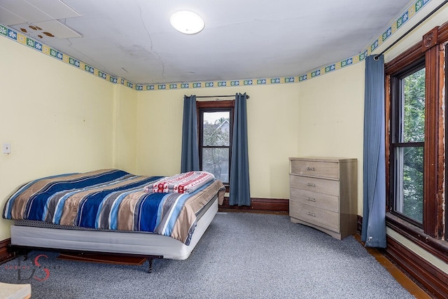 455 Sylvan Ave, Grand Ridge, IL 61325 - bedroom with multiple windows and baseboards