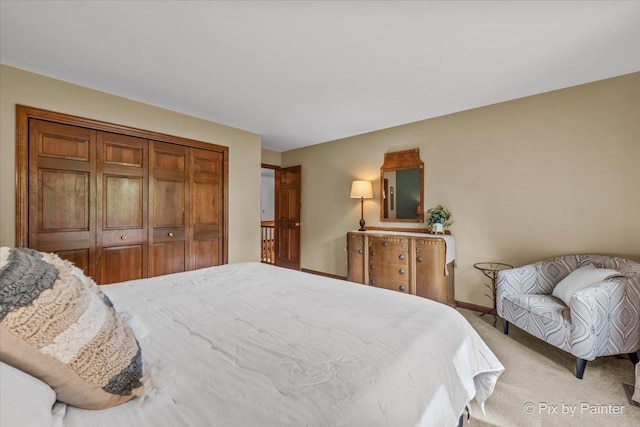 5N538 Hidden Springs Dr, Saint Charles, IL 60175 - bedroom featuring light carpet and a closet