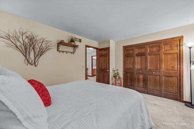 5N538 Hidden Springs Dr, Saint Charles, IL 60175 - bedroom with carpet floors and a closet
