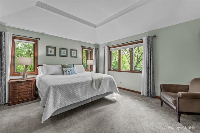 5N538 Hidden Springs Dr, Saint Charles, IL 60175 - carpeted bedroom featuring baseboards