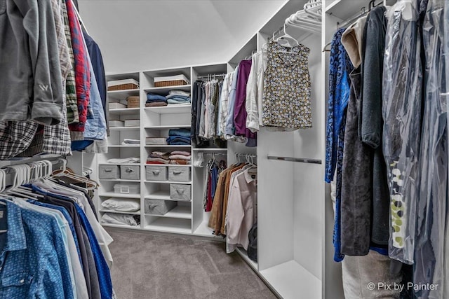 5N538 Hidden Springs Dr, Saint Charles, IL 60175 - spacious closet featuring carpet flooring