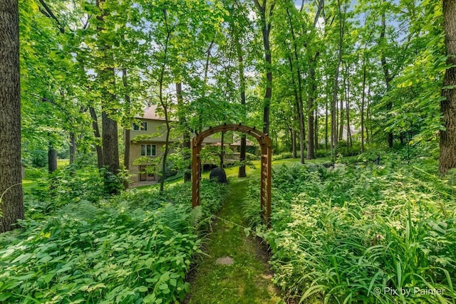 5N538 Hidden Springs Dr, Saint Charles, IL 60175 - view of undeveloped land