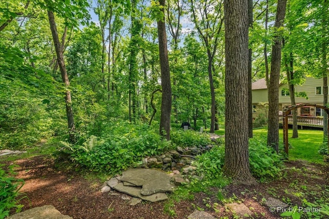 5N538 Hidden Springs Dr, Saint Charles, IL 60175 - view of undeveloped land