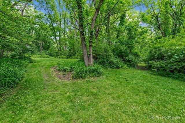 5N538 Hidden Springs Dr, Saint Charles, IL 60175 - view of green lawn featuring a view of trees