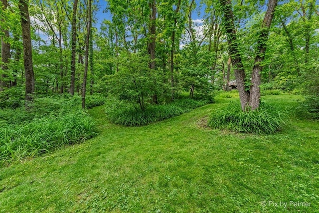 5N538 Hidden Springs Dr, Saint Charles, IL 60175 - view of yard
