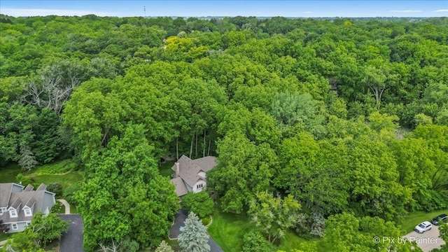5N538 Hidden Springs Dr, Saint Charles, IL 60175 - aerial view of a heavily wooded area