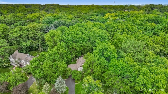 5N538 Hidden Springs Dr, Saint Charles, IL 60175 - bird's eye view of a forest