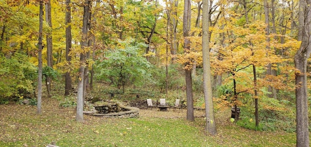 5N538 Hidden Springs Dr, Saint Charles, IL 60175 - view of yard with a forest view