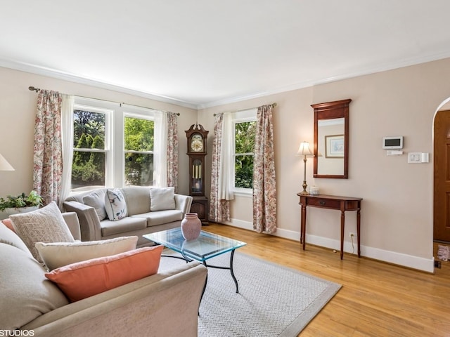 9907 Kedvale Ave, Skokie, IL 60076 - living room featuring arched walkways, light wood-type flooring, and ornamental molding